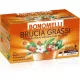 Bonomelli lipid anyagcserét segítő gyógytea (zöld tea,maté, guarána), 16 db filter